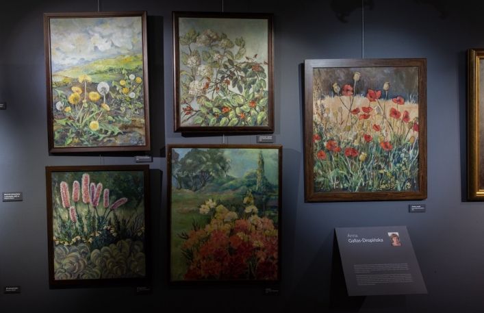 Pięć obrazów Anny Gallas-Dropińskiej przedstawiające kwiaty na łące.